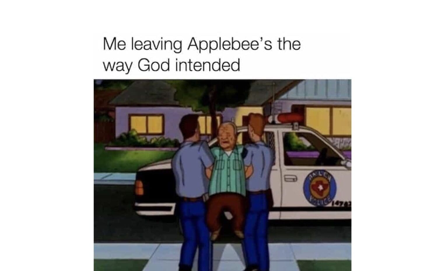 30 King of the Hill Memes and Meme Accessories