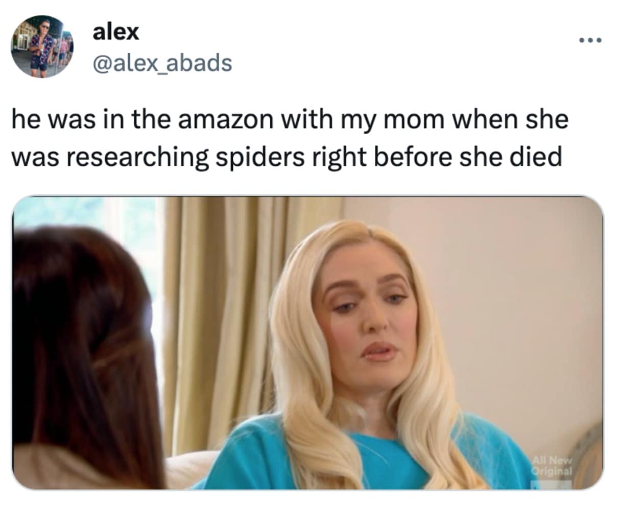 madame web, madam web memes, madame web movie, madame web reviews, madam web review, madame web meme