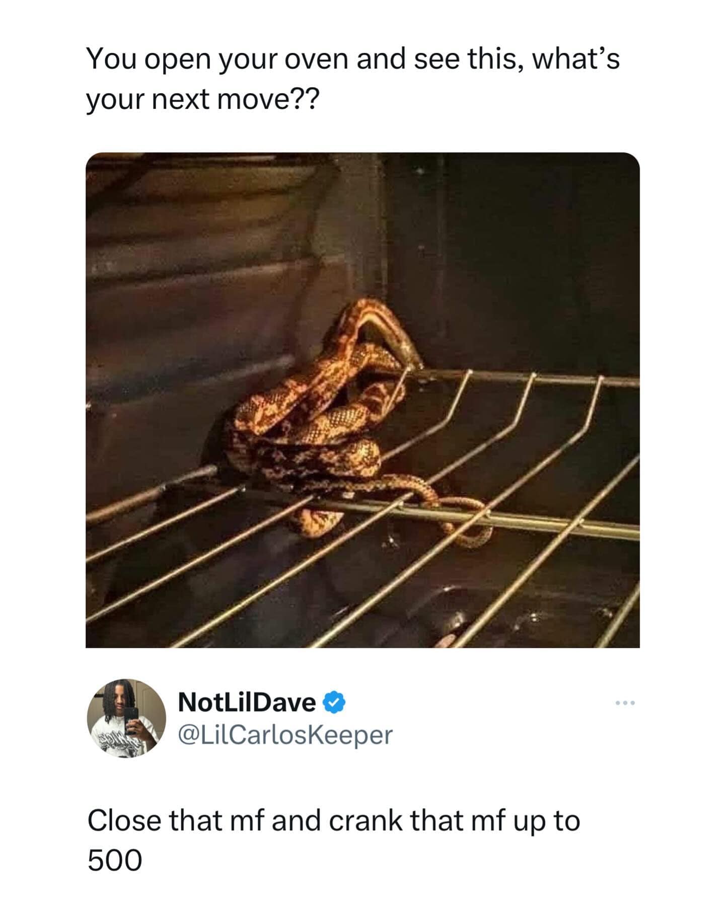 meme dump, hilarious memes