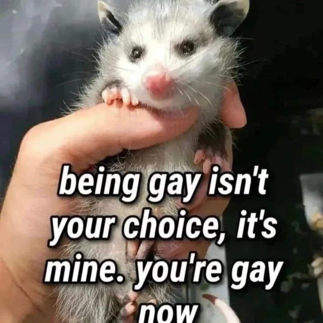 meme dump, hilarious memes