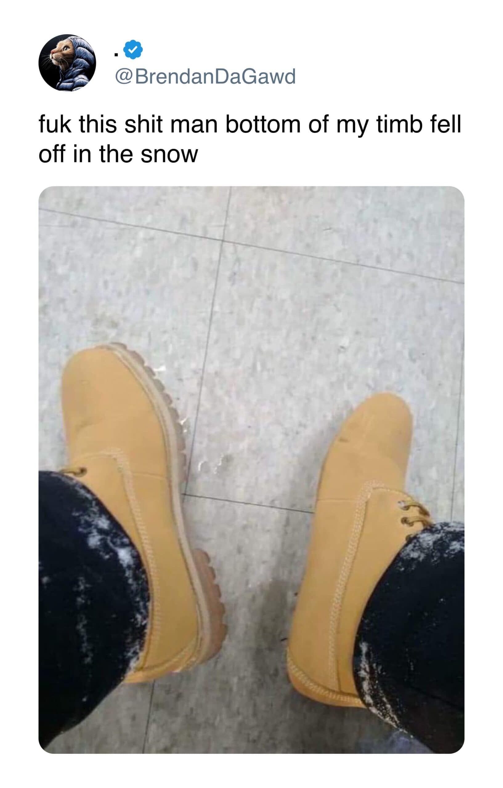 meme dump, hilarious memes