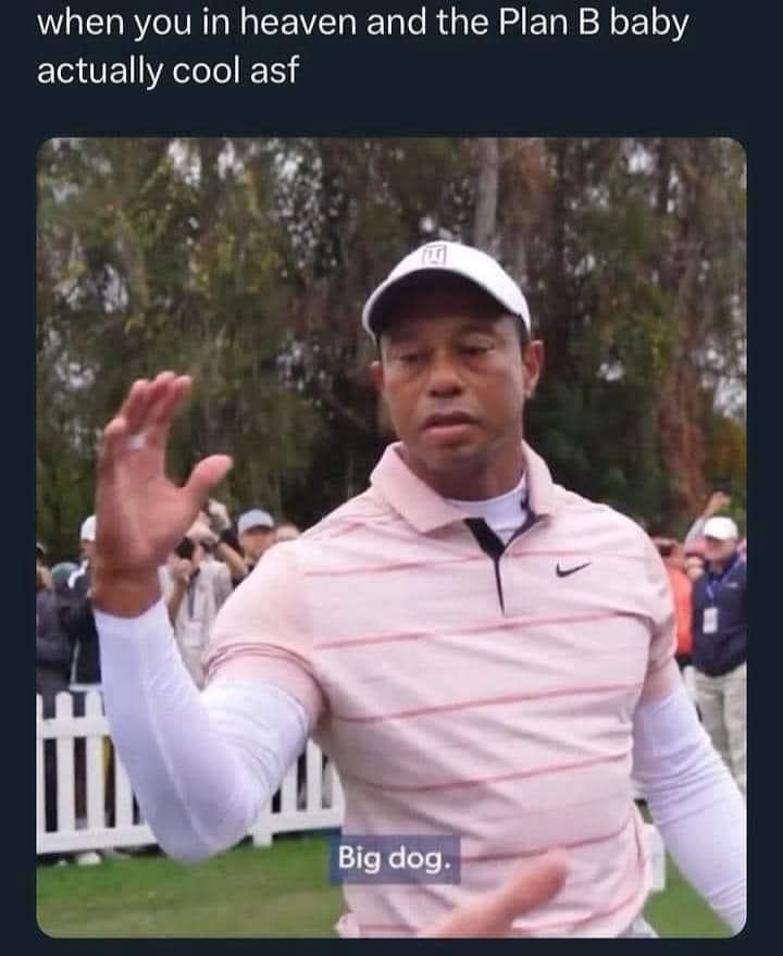 meme dump, hilarious memes, internet humor, funny memes, laughter-inducing content, meme collection, humor compilation, joke repository