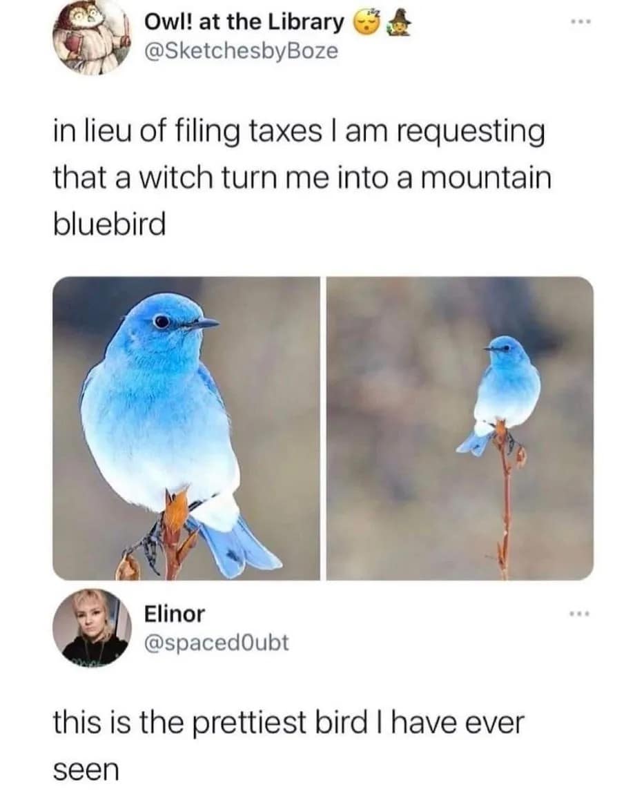 meme dump, hilarious memes, funny memes, best memes, meme compilation, funny pictures