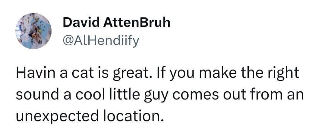 meme dump, hilarious memes, humor compilation, laughter fest, meme bonanza, weekend humor, internet laughs, meme collection