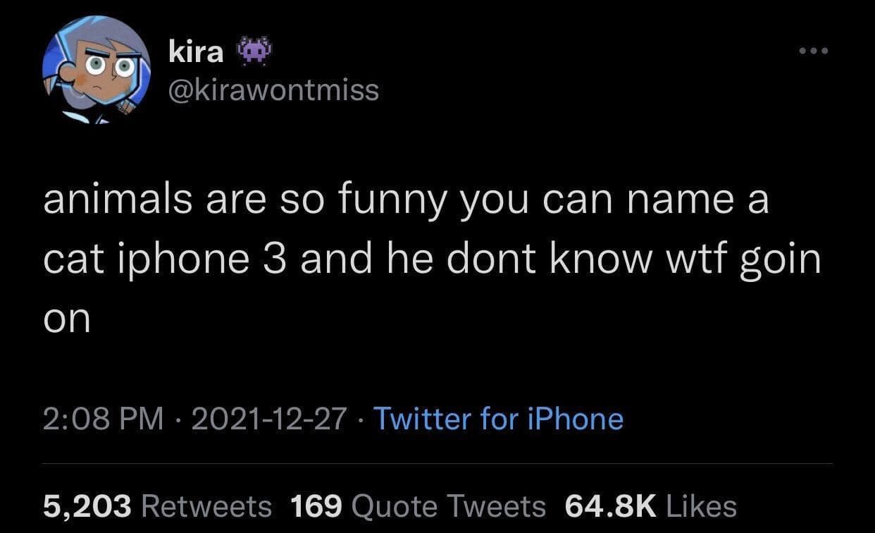 meme dump, hilarious memes, best memes, funny pictures, nternet humor, daily laughter, meme collection, comedic gems, daily dose of humor, funny memes