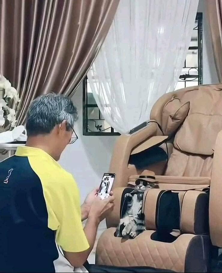 meme dump, hilarious memes