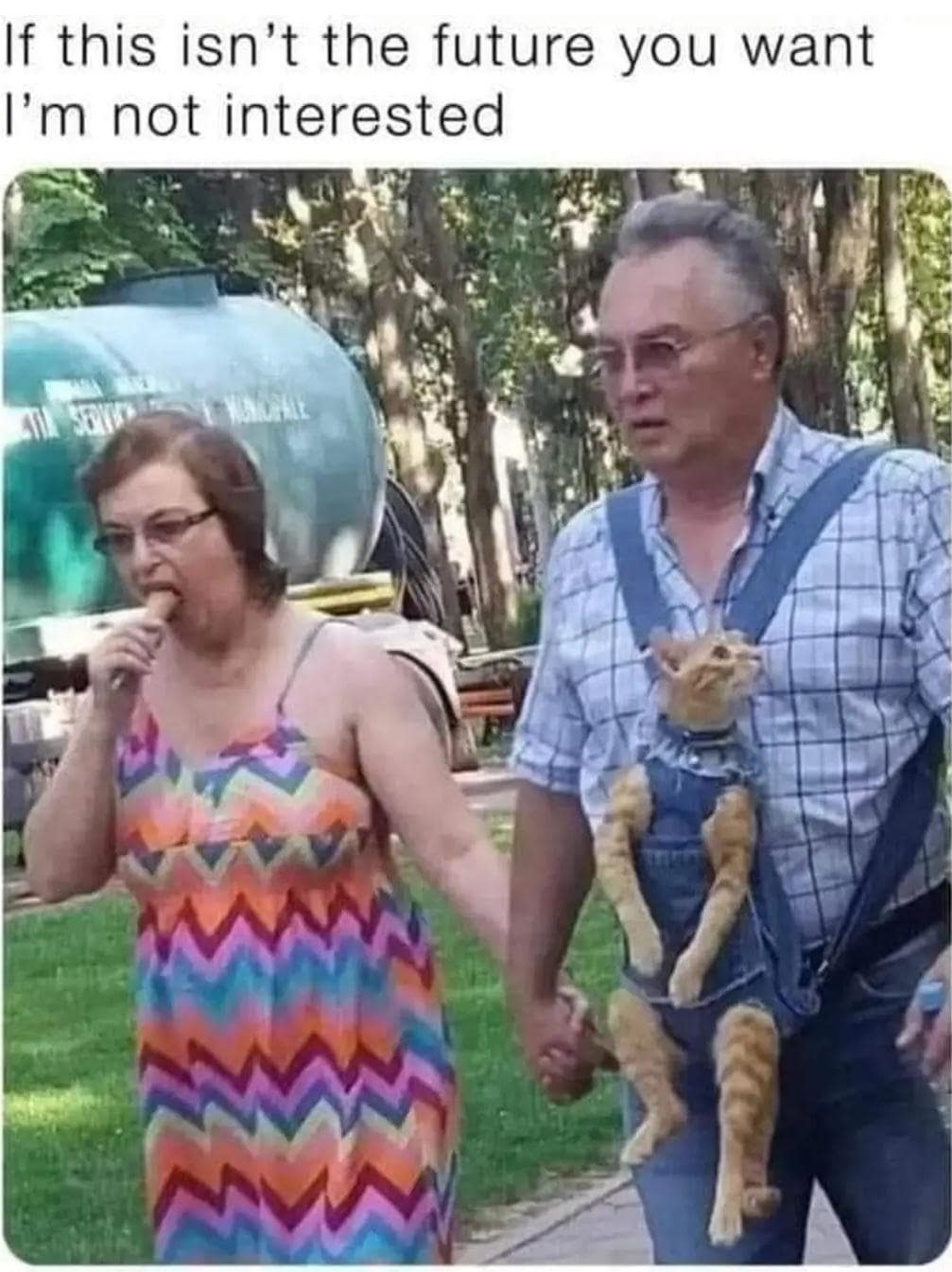 meme dump, hilarious memes, funny memes, meme collection, humor gallery, laugh fest, best memes