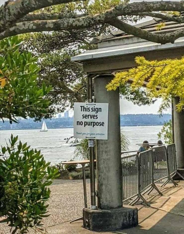 meme dump, hilarious memes