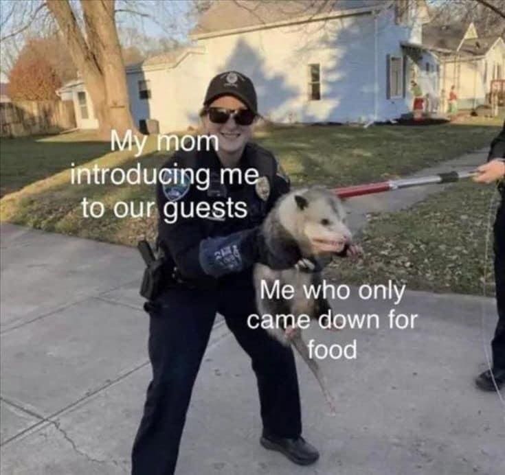 meme dump, hilarious memes, humor compilation, laughter fest, meme bonanza, weekend humor, internet laughs, meme collection