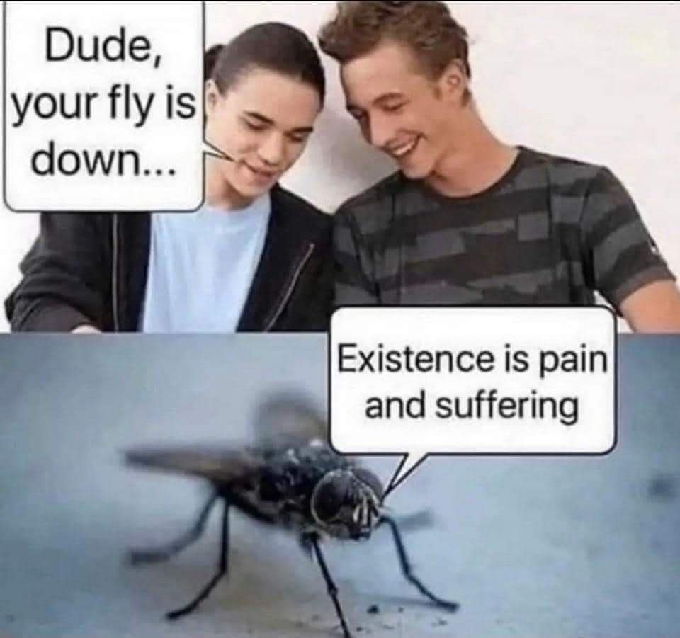 meme dump, hilarious memes, best memes, funny pictures, nternet humor, daily laughter, meme collection, comedic gems, daily dose of humor, funny memes