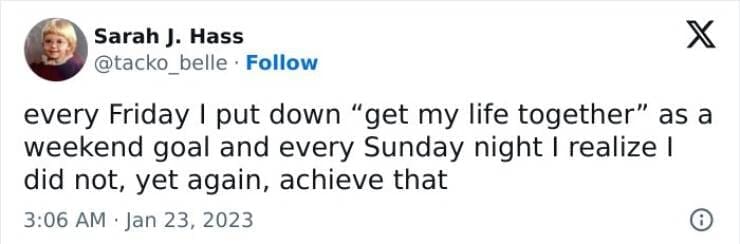 every Friday I put down "get my life together" as a weekend goal and every Sunday night I realize I did not, yet again, achieve that