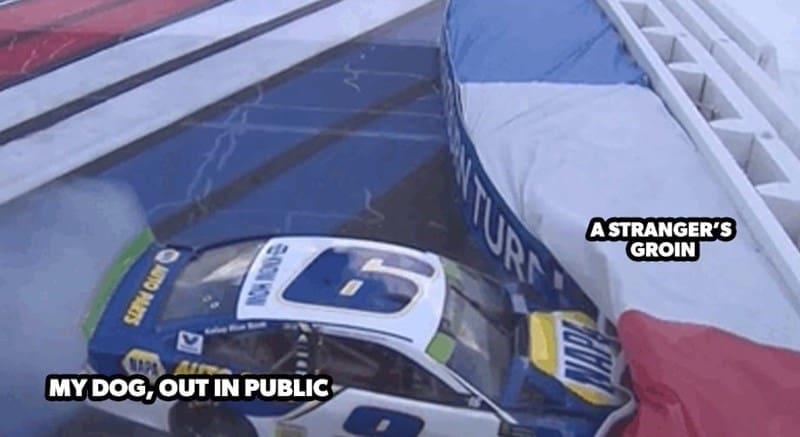 nascar memes, daytona 500 2024, daytona 500 memes