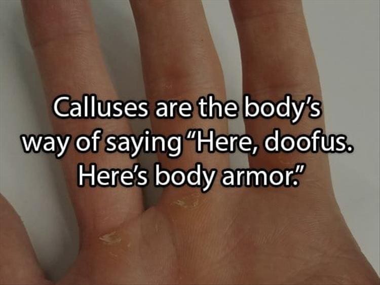 Reddit Shower Thoughts Calluses are the body's way of saying "Here, doofus. Here's body armor."