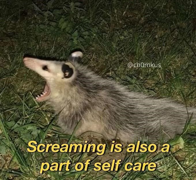 Self Care Memes Screaming is also a part of self care