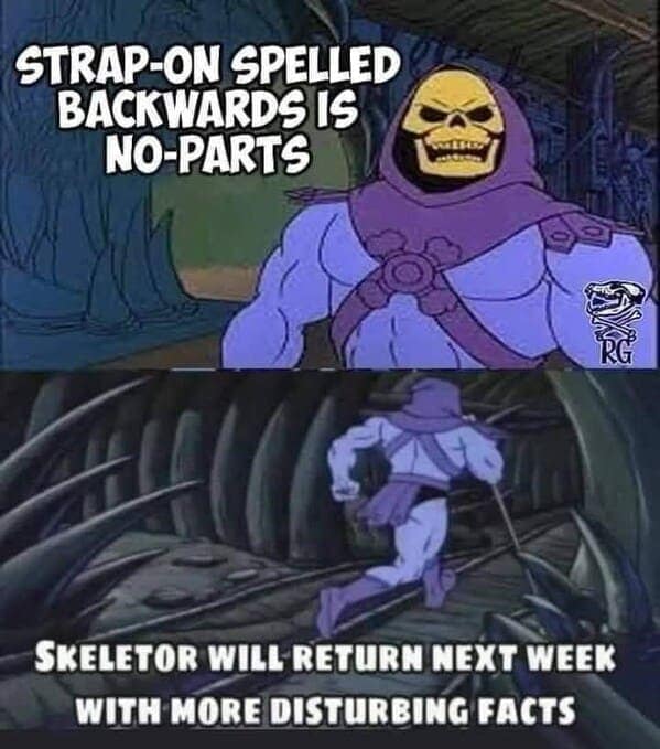 Skeletor Memes 40 Memes For An Evil Cackle