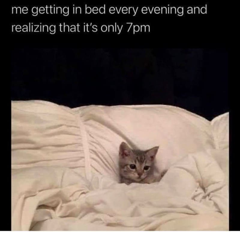 Sleep memes me getting in bed every evening and realizing that it's only 7pm