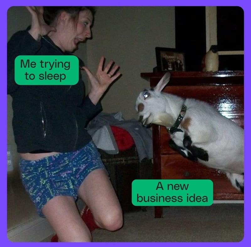 small business owner meme, entrepreneur humor, proprietor memes, entrepreneurial chuckles, self-employed humor