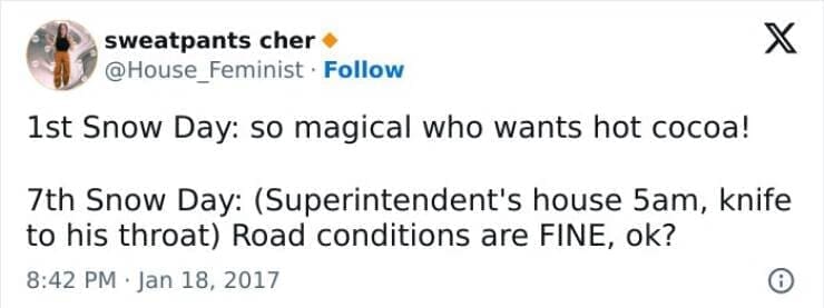 Snow Day Memes 1st Snow Day: so magical who wants hot cocoa! 7th Snow Day: (Superintendent's house 5am, knife to his throat) Road conditions are FINE,