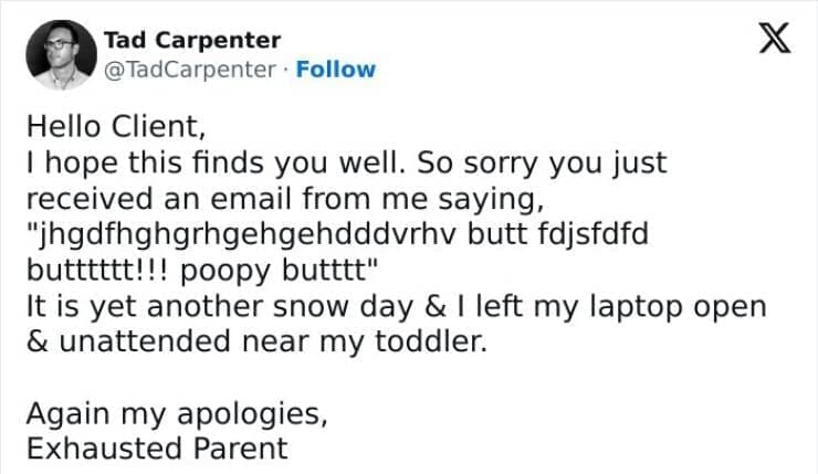 Snow Day Memes Hello Client, I hope this finds you well. So sorry you just received an email from me saying, "jhgdfhghghgehgehdddvrhv butt fdjsfdfd butttttt!!! poopy butttt" It is yet another snow day & I left my laptop open & unattended near my toddler. Again my apologies, Exhausted Parent