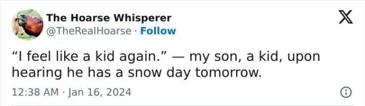 Snow Day Memes "I feel like a kid again." - my son, a kid, upon hearing he has a snow day tomorrow.