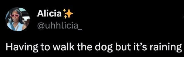 Having to walk the dog but it's raining