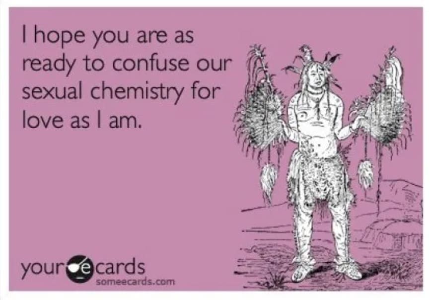 valentines memes, funny valentin's e-cards, humorous love memes, cheeky Valentine's Day cards, witty relationship humor