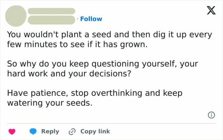 Brain memes You wouldn't plant a seed and then dig it up every few minutes to see if it has grown. So why do you keep questioning yourself, your hard work and your decisions? Have patience, stop overthinking and keep watering your seeds.