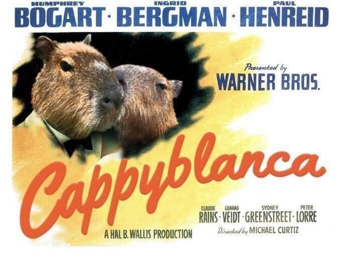 capybara memes, capybara jokes, absurd comedy, oversized rodent humor, comical wildlife memes