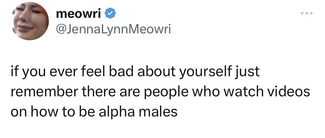 classic memes, vintage memes, best memes, nternet Culture, Nostalgic Humor, Viral Sensations, old Memes, Retro Internet Jokes, Timeless Online Humor