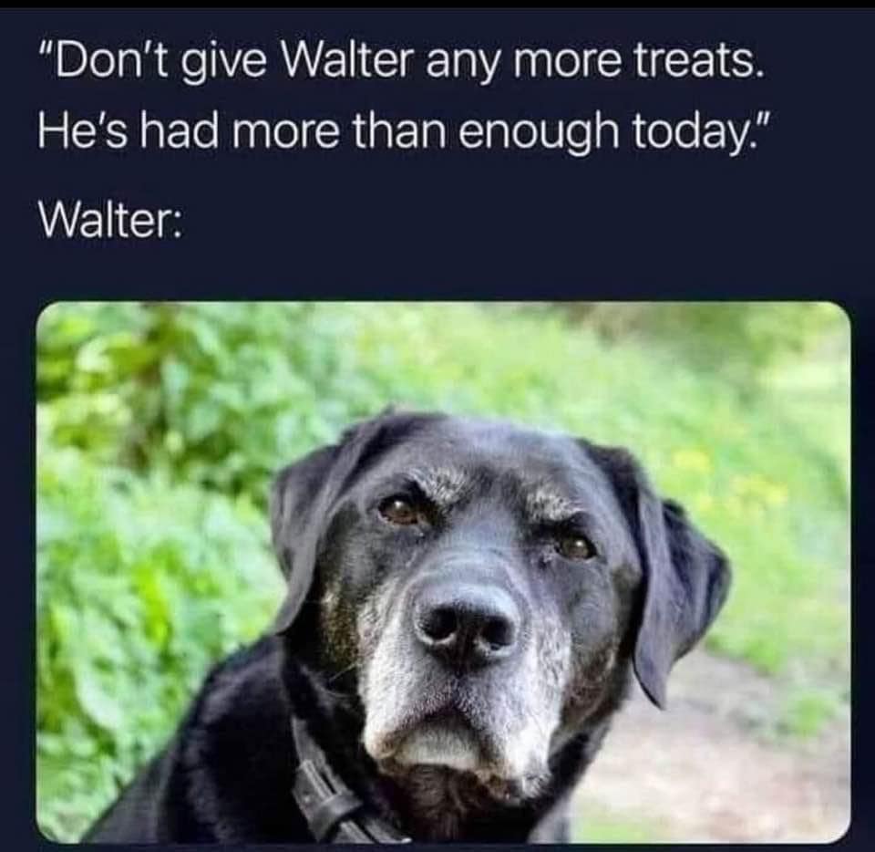 classic memes, vintage memes, old memes, best memes, intage internet humor, timeless memes, internet nostalgia, retro memes, old-school humor, internet relics