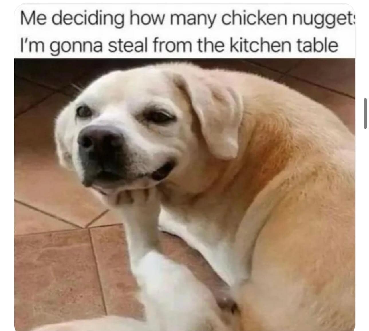 classic memes, viral tweets, vintage memes, Funny Memes, Meme History, OG Memes, Nostalgic Memes, Iconic Internet Humor