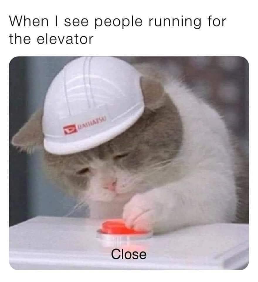 classic memes, vintage memes, viral tweets, old memes, best memes, viral memes, funny tweets, digital nostalgia