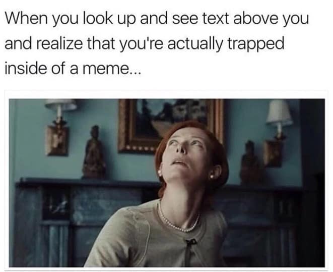 classic memes, vintage memes, viral tweets, old memes, best memes, viral memes, funny tweets, digital nostalgia