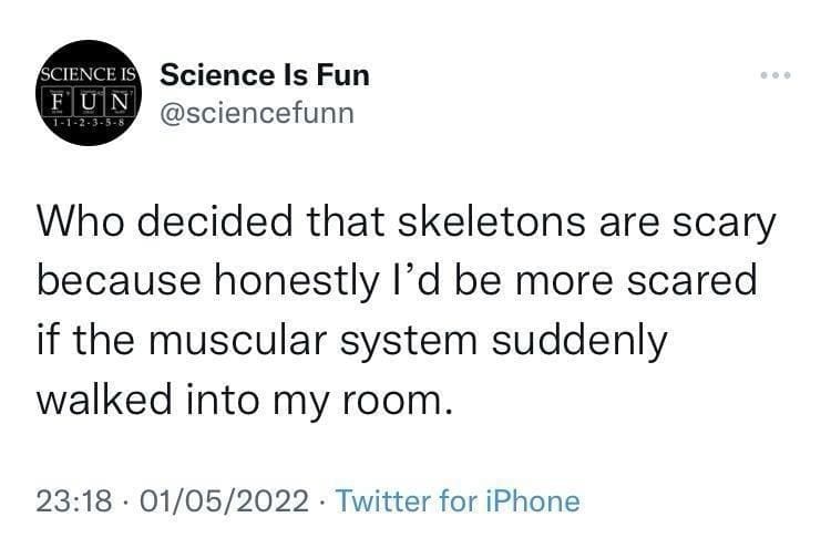 classic memes, vintage memes, best memes, internet humor, viral tweets, timeless jokes, old memes, iconic memes, legendary humor, eternal tweets