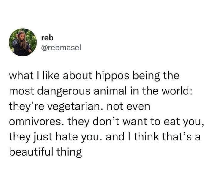 classic memes, vintage memes, viral tweets, best memes, old memes, best tweets