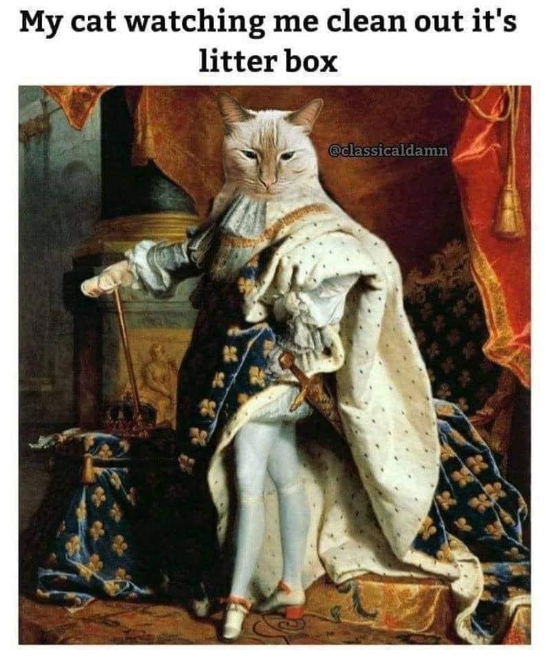 classic memes, viral tweets, vintage memes, old memes, iconic tweets, internet sensations