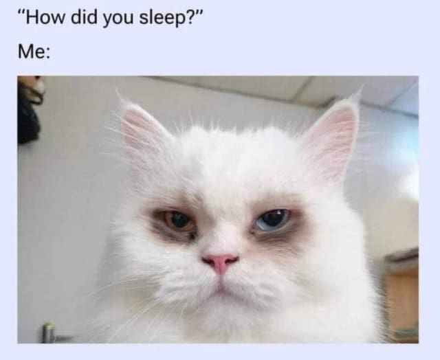 classic memes, viral tweets, vintage memes, old memes, iconic tweets, internet sensations