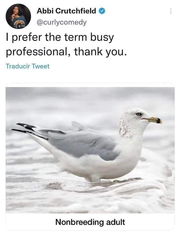 classic memes, vintage memes, old memes, best memes, old but gold