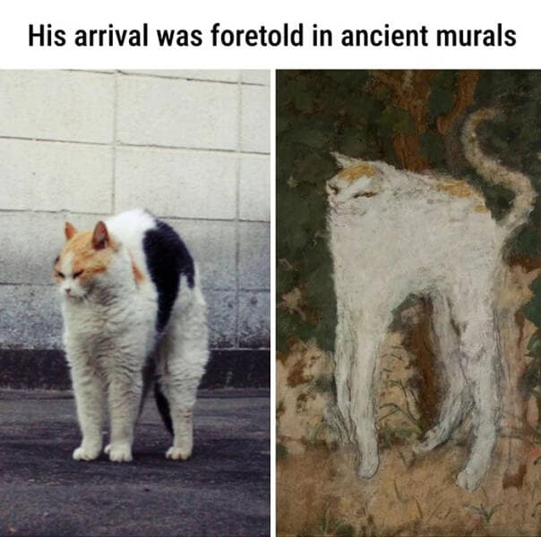 classical art memes, renaissance memes, Renaissance humor, Baroque art jokes, ancient artwork memes, art history memes,