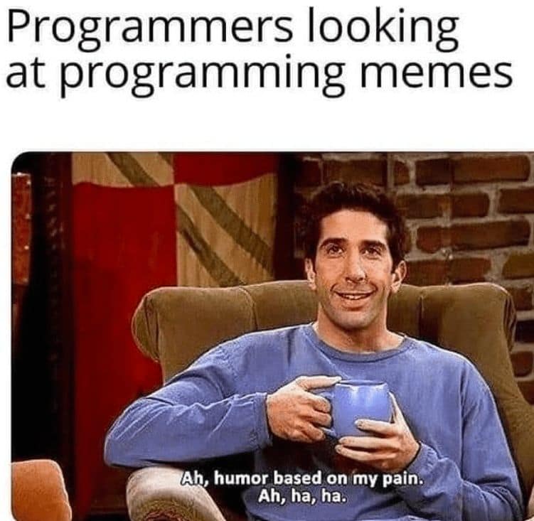 Programmers looking at programming memes Ah, humor based on my pain. Ah, ha, ha.