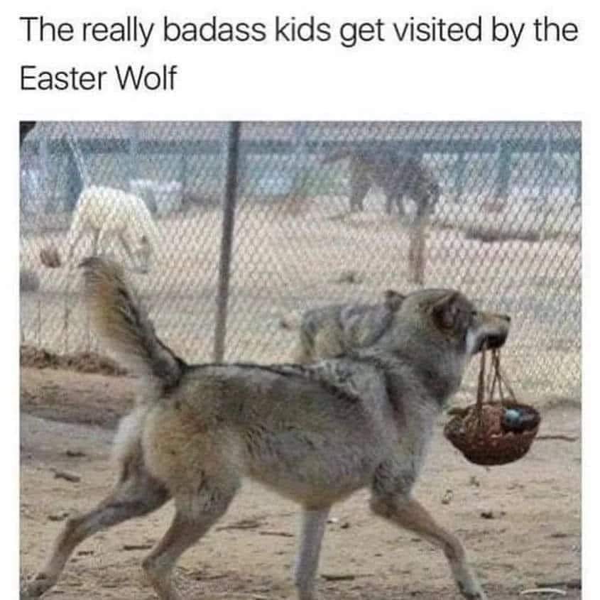 easter memes, funny easter memes, Funny Easter memes, Happy Easter memes, Easter egg hunt memes