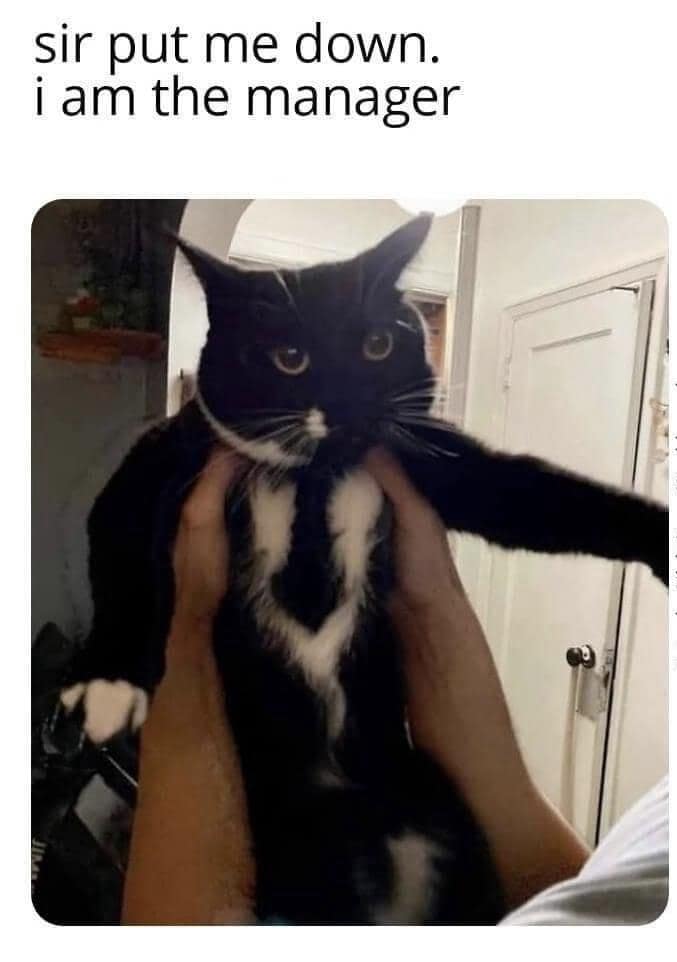 sir put me down. i am the manager