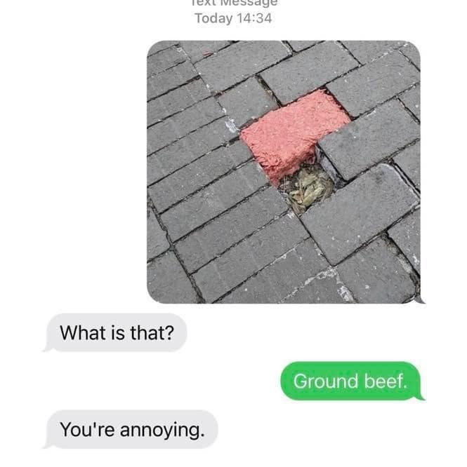 What is that? Ground beef. You're annoying.