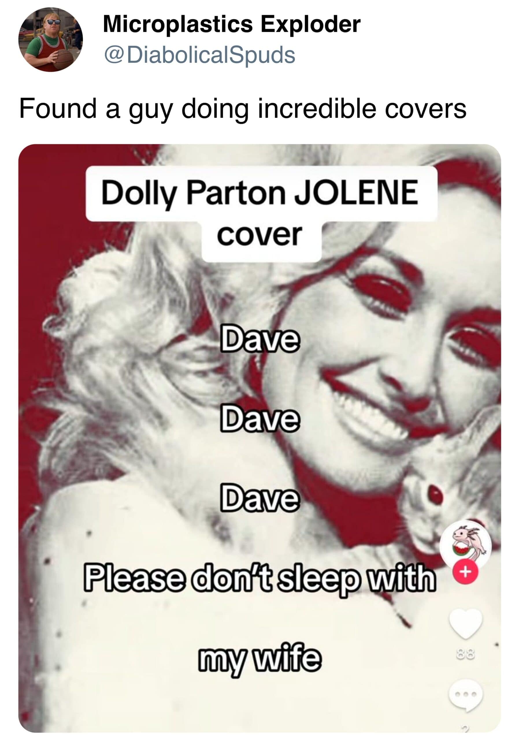 Found a guy doing incredible covers Dolly Parton JOLENE cover Dave Dave Dave Please don't sleep with my wife