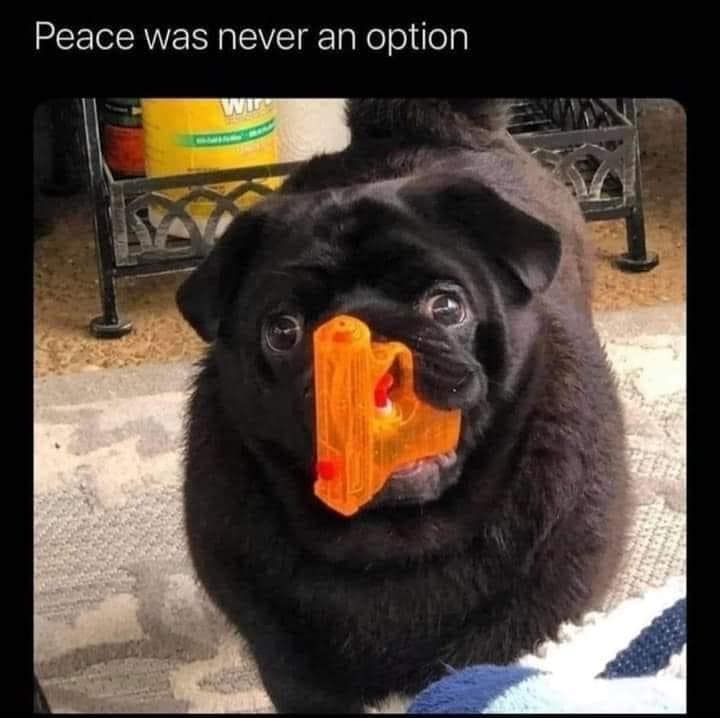 Peace was never an option