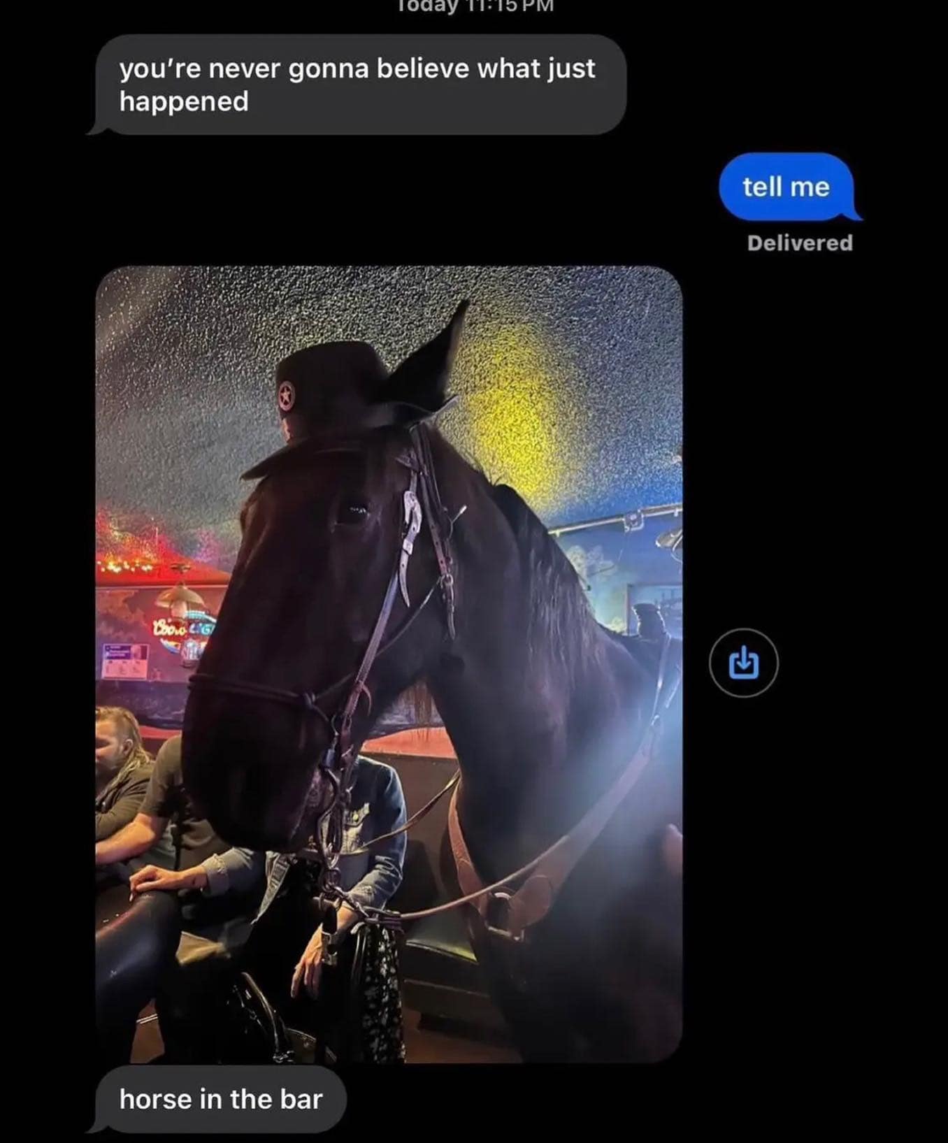 you're never gonna believe what just happened L300 216) horse in the bar tell me