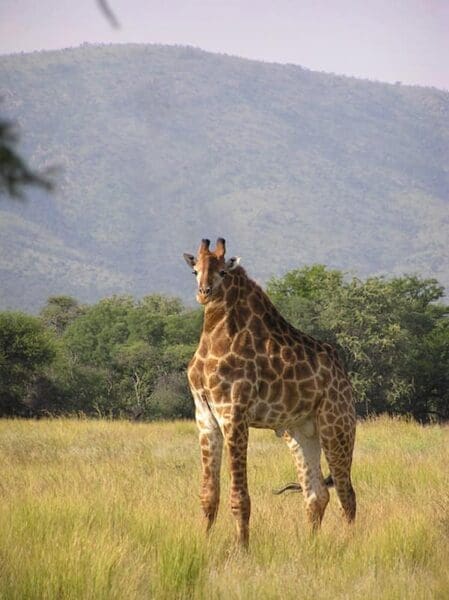 30 Funny Photoshopped Pictures That Are Incredibly Hard To Believe
