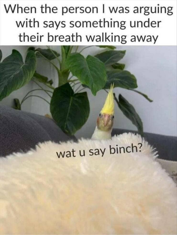 When the person I was arguing with says something under their breath walking away wat u say binch?