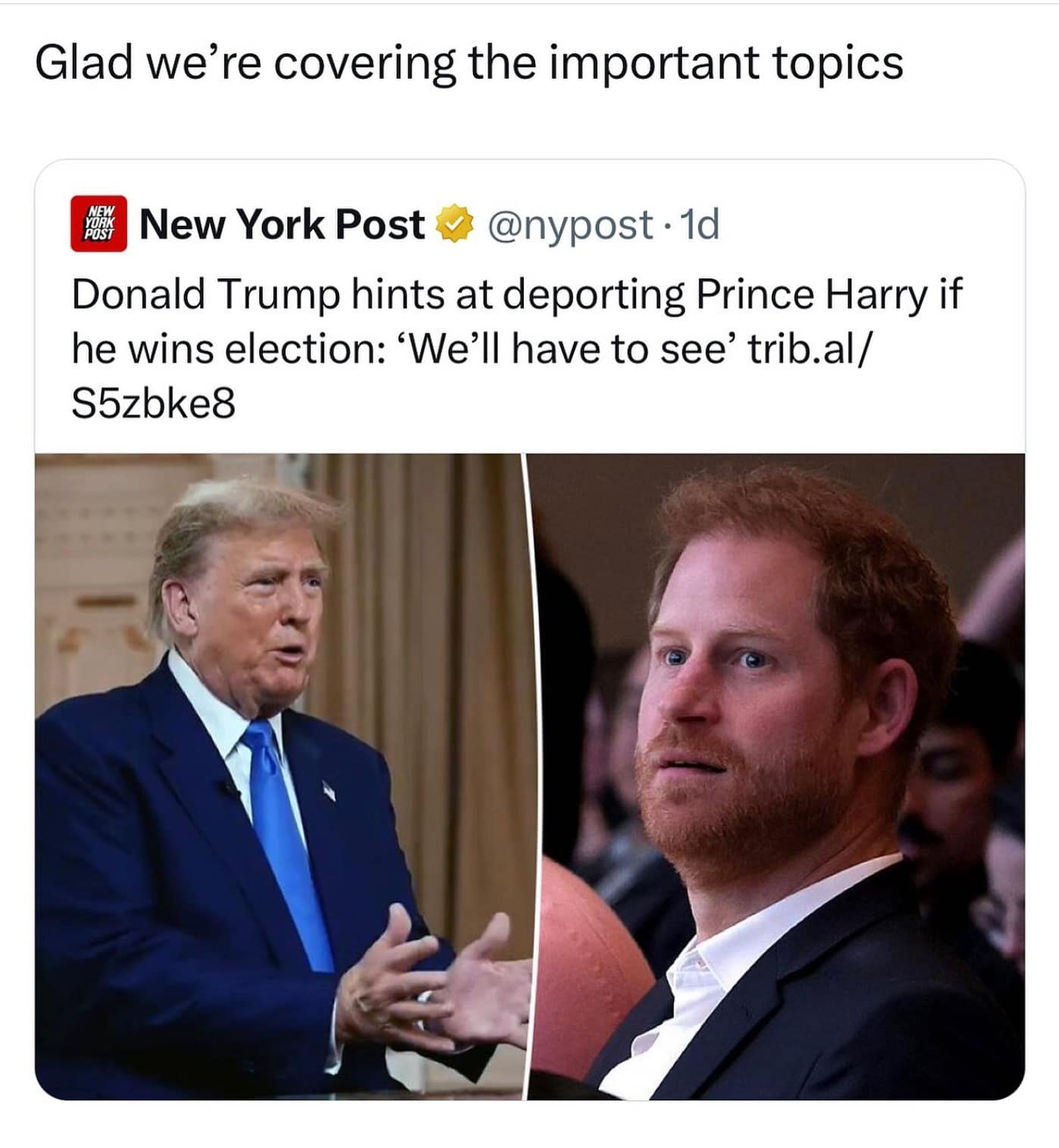 Glad we're covering the important topics. Donald Trump hints at deporting Prince Harry if he wins election: