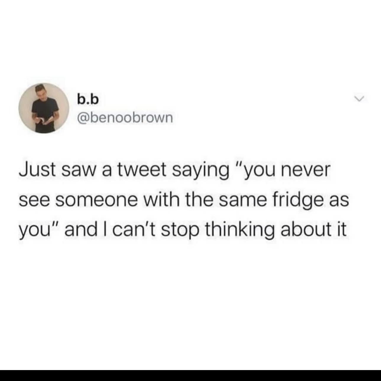 Just saw a tweet saying "you never see someone with the same fridge as you" and I can't stop thinking about it